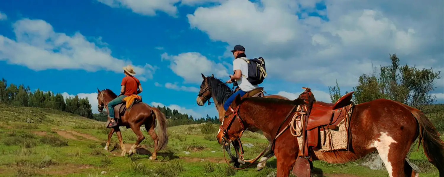 Horses in the Sacred Valley