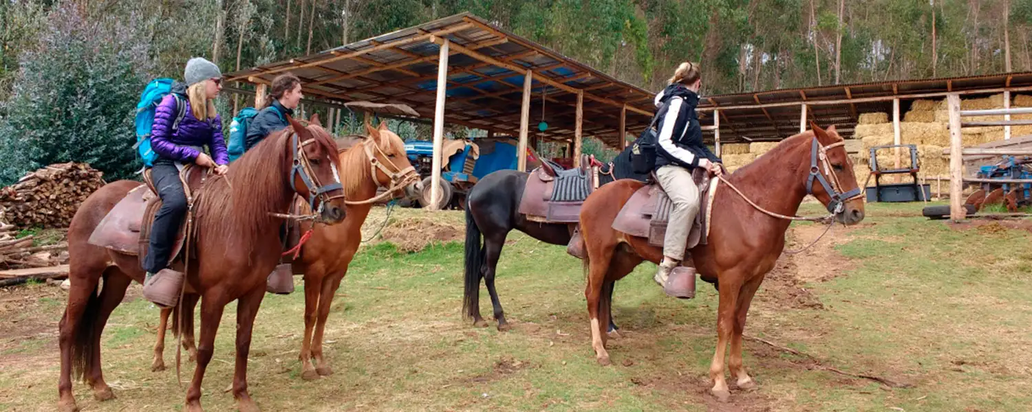 Ready to leave at the ranch
